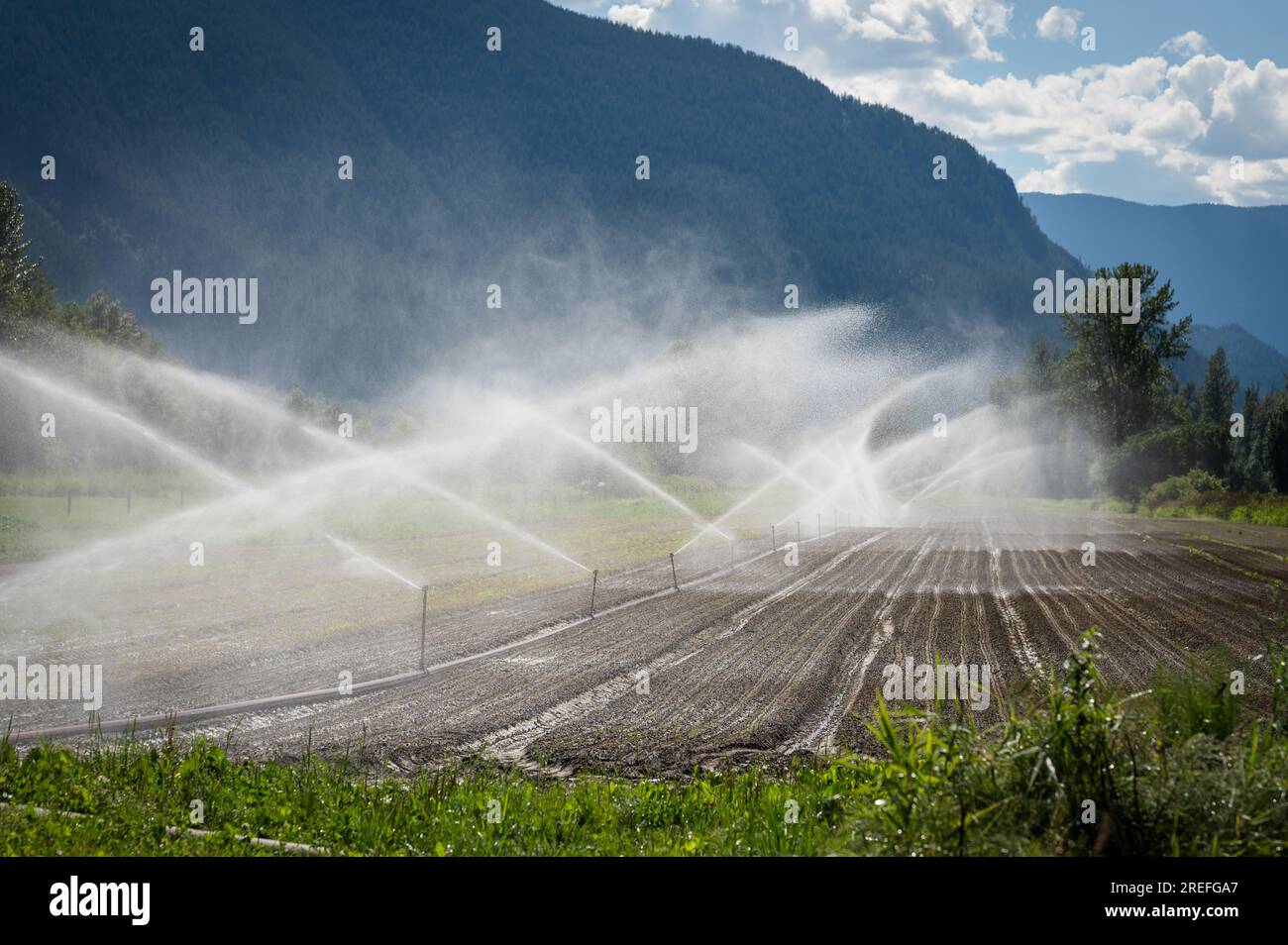 Irrigation sprinklers at the North Arm Organic Farm.   Pemberton BC, Canada. Stock Photo