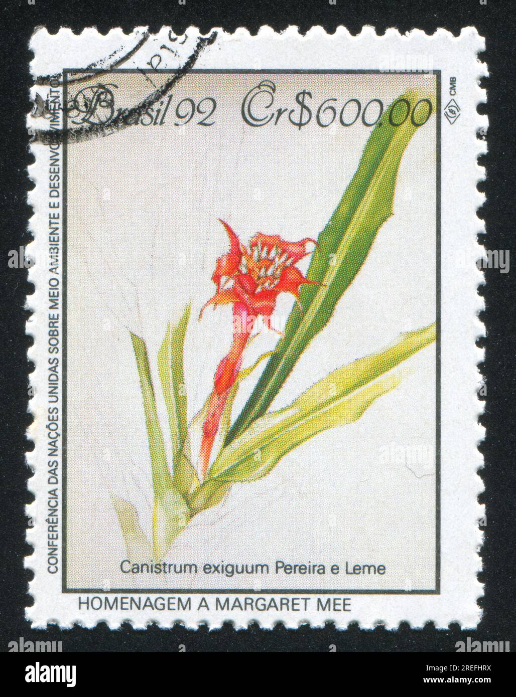 BRAZIL - CIRCA 1992: stamp printed by Brazil, shows  flower, Canistrum exiguum, circa 1992 Stock Photo