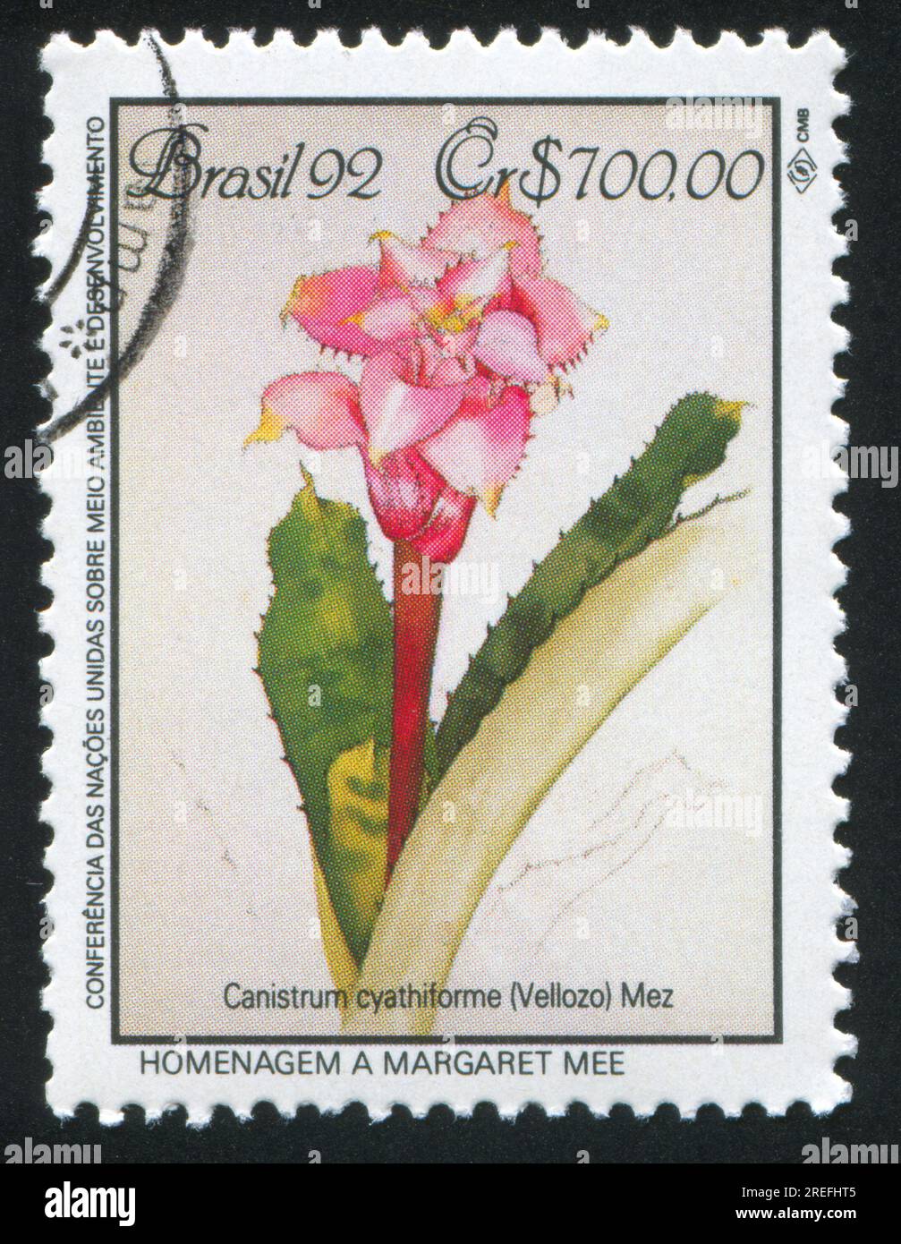 BRAZIL - CIRCA 1992: stamp printed by Brazil, shows  flower, Canistrum cyathiforme, circa 1992 Stock Photo