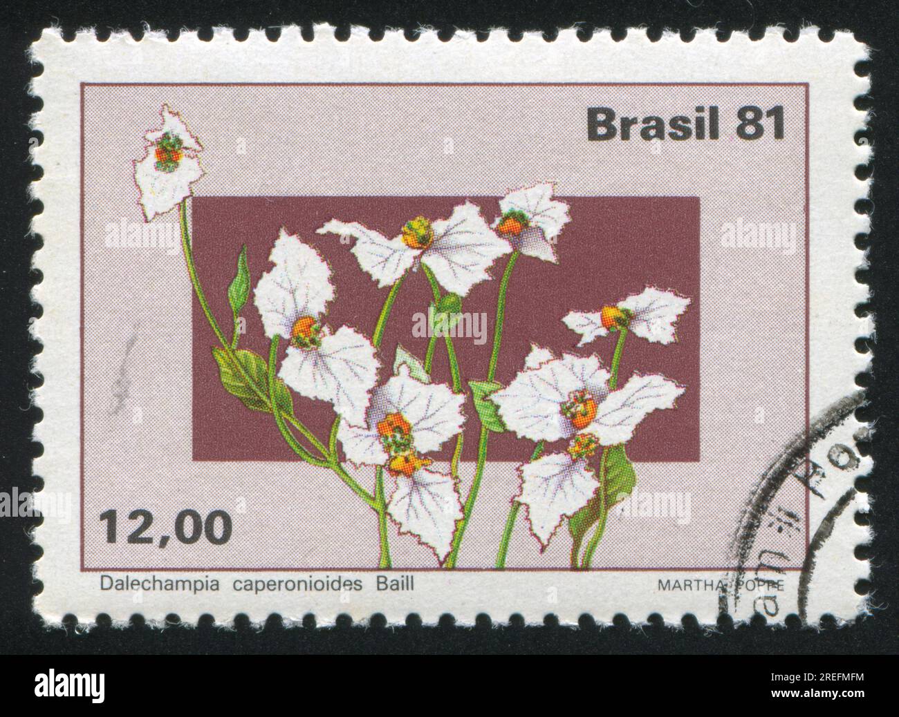 BRAZIL - CIRCA 1981: stamp printed by Brazil, shows  flower, Dalechampia caperonioides, circa 1981 Stock Photo