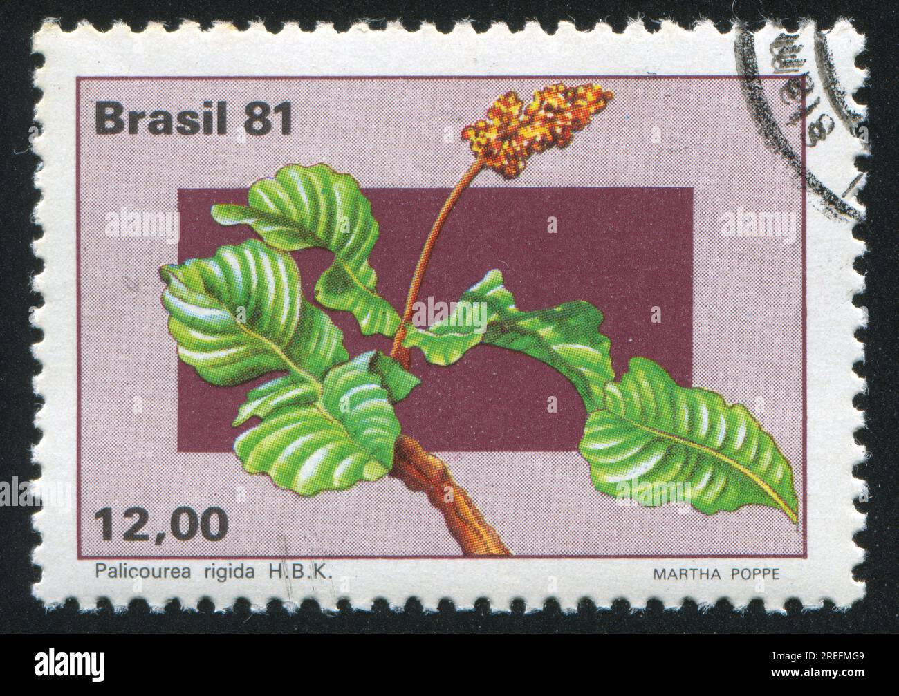 BRAZIL - CIRCA 1981: stamp printed by Brazil, shows  flower, Palicourea rigida, circa 1981 Stock Photo