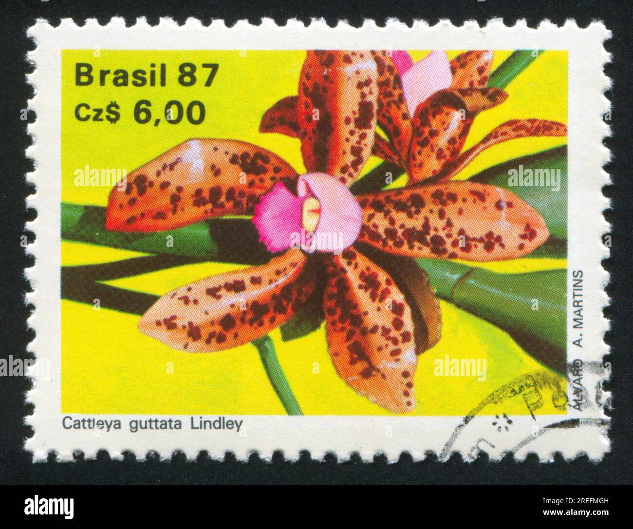 BRAZIL - CIRCA 1987: stamp printed by Brazil, shows Orchid  flower, Cattleya guttata lindley, circa 1987 Stock Photo