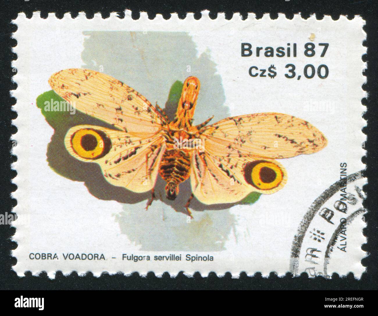 BRAZIL - CIRCA 1987: stamp printed by Brazil, shows butterfly Fulgora servillei, circa 1987 Stock Photo