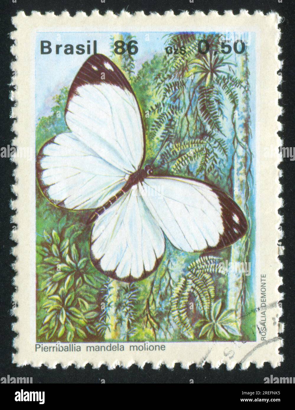 BRAZIL - CIRCA 1986: stamp printed by Brazil, shows butterfly Pierriballia mandel molione, circa 1986 Stock Photo