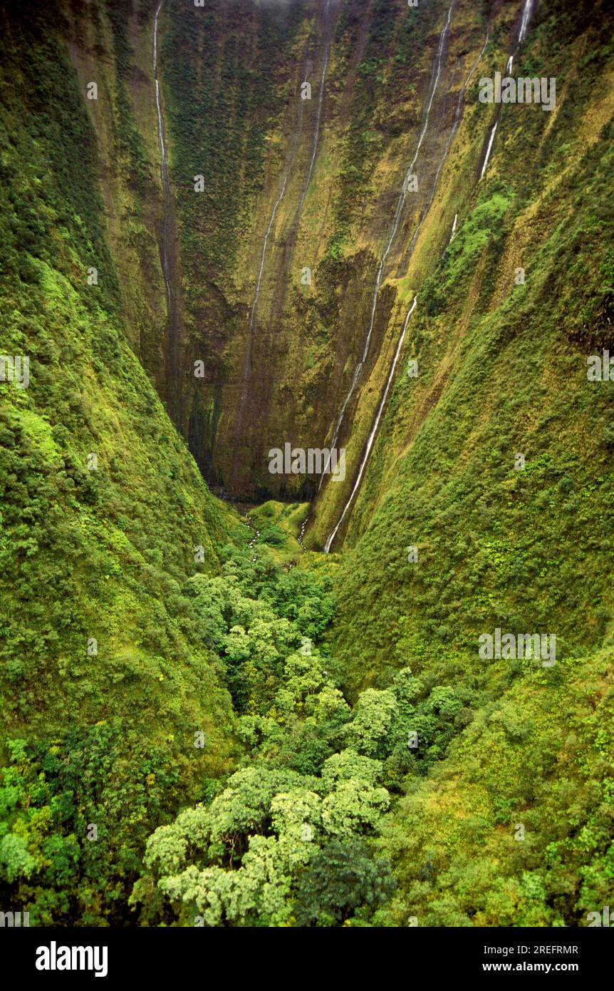 A spectacular waterfall winds down a remote mountain on the lush
