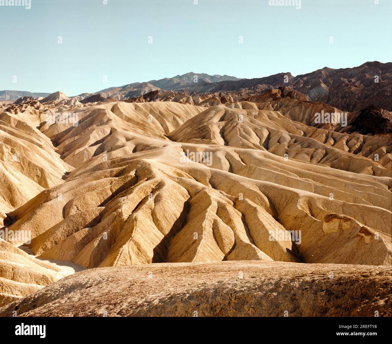 Kodak portra 160 hires stock photography and images Alamy