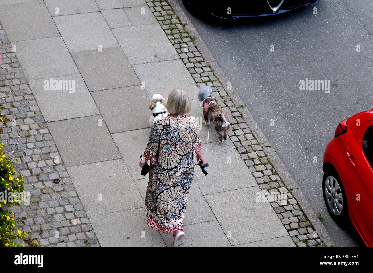 28 July 2023/ Senior citizen female walks pets in Kastrup danish