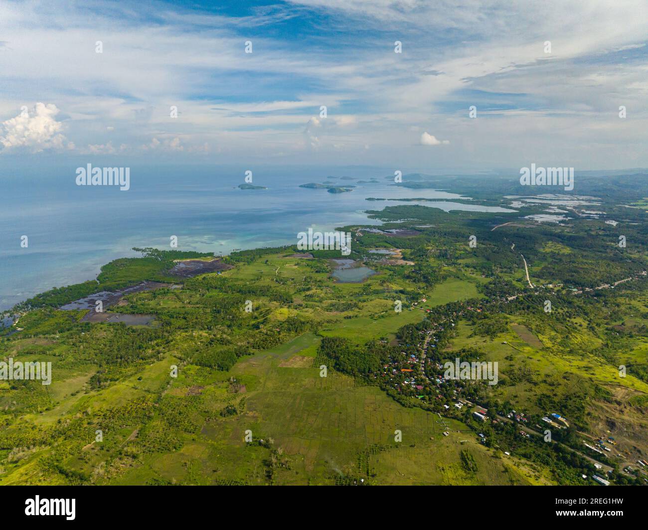 Farming and growing plants in rural areas of Mindanao. Blue sky and