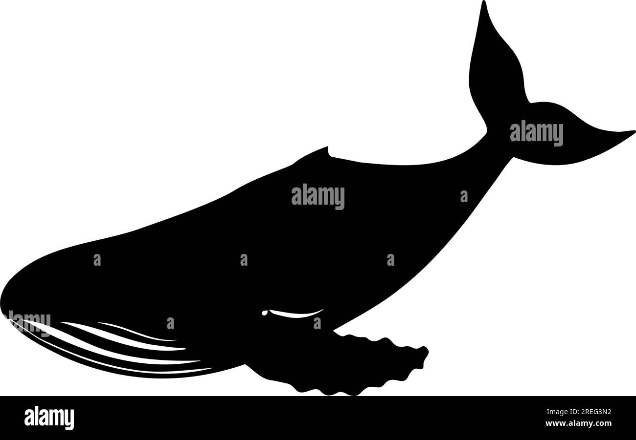 Humpback Whale silhouette isolated. vector illustration Stock Vector ...