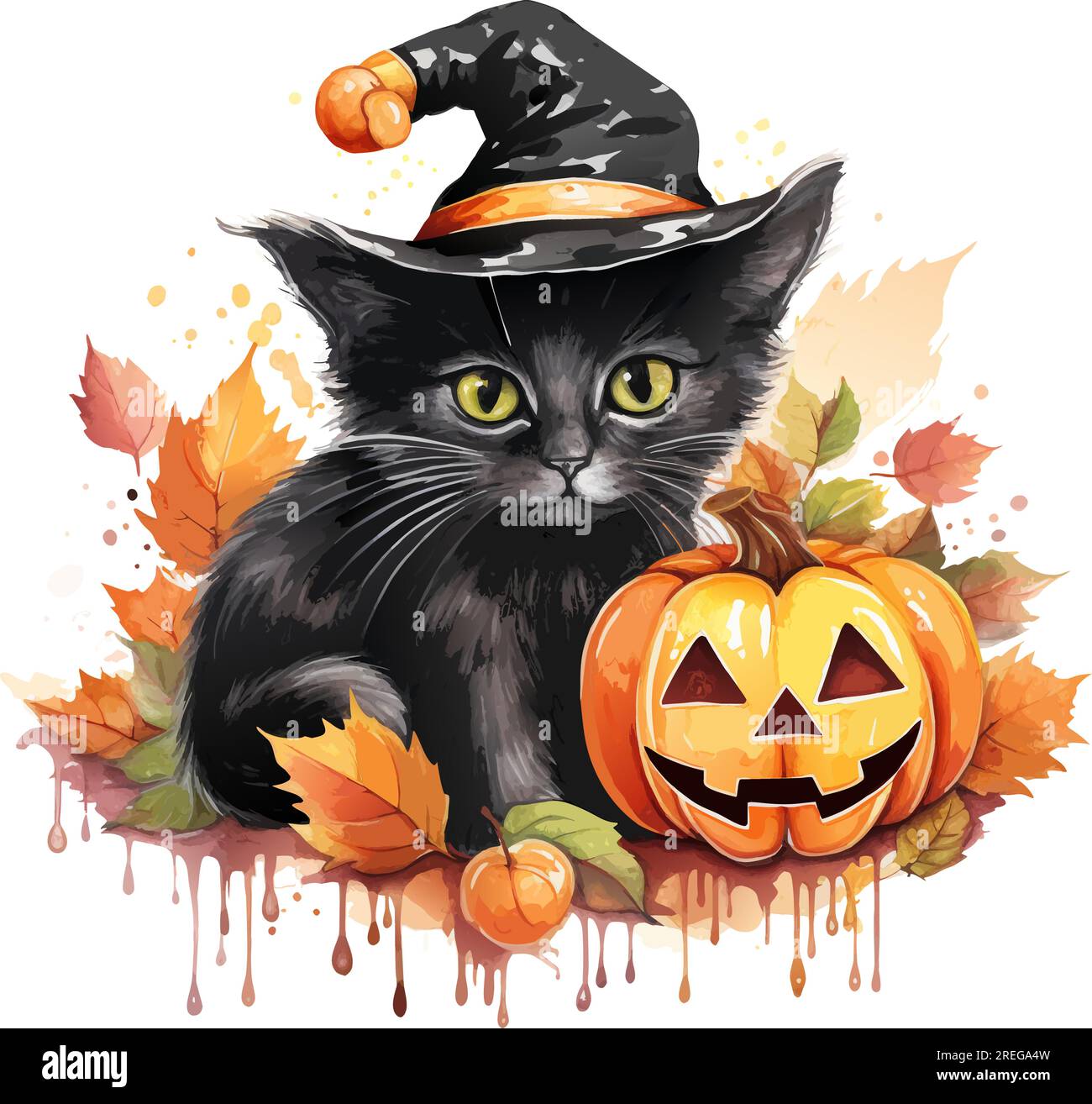 vector watercolor black cat with hat and pumpkin. black halloween cat ...