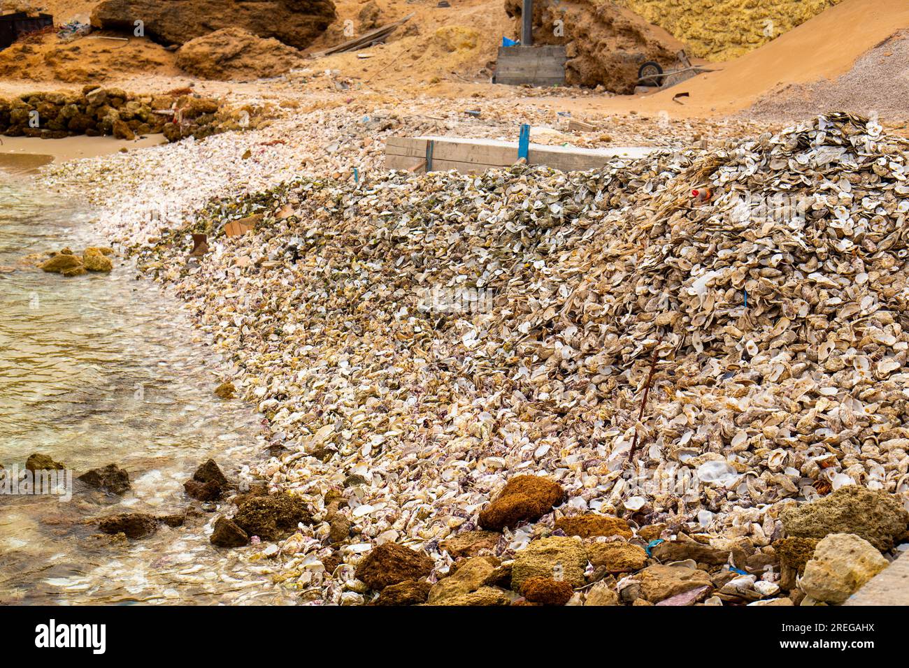 Oyster waste at the edge of a beach in Dakhla Stock Photo Alamy
