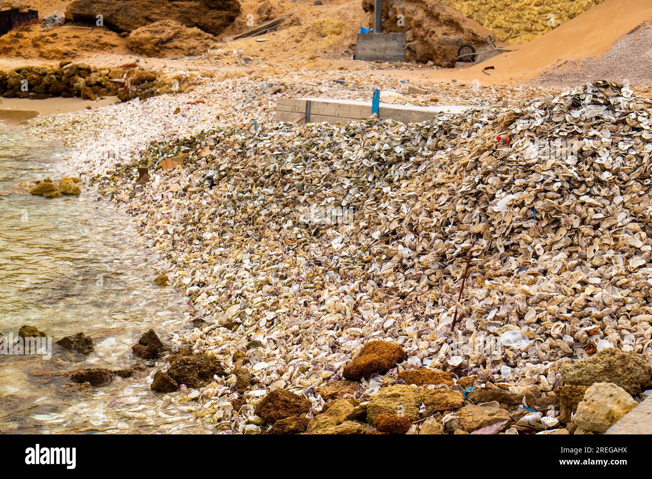 Oyster waste at the edge of a beach in Dakhla Stock Photo
