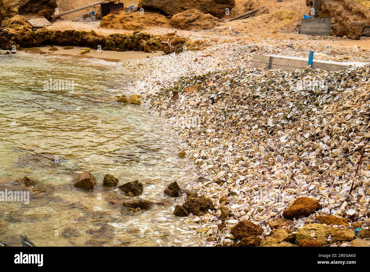Oyster waste at the edge of a beach in Dakhla Stock Photo Alamy