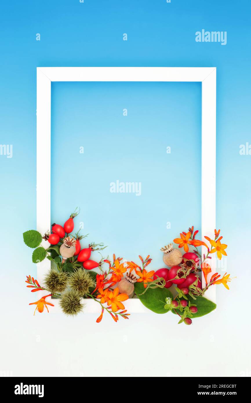 Vivid Autumn Thanksgiving harvest festival flowers, leaves, berry fruit, nuts background border with white frame on gradient blue white. Nature design Stock Photo