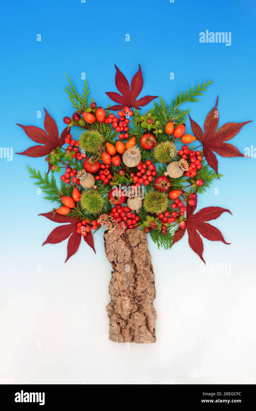 Surreal Autumn Fall Thanksgiving abstract tree shape design with leaves, berry fruit, nuts on gradient blue background. Stock Photo