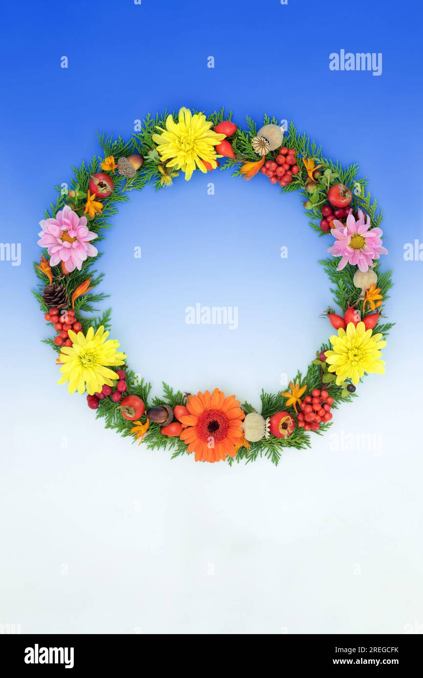 Harvest Festival Autumn Samhain  nature wreath with leaves, flowers, berry fruit, nuts and seed heads on gradient blue background. Stock Photo