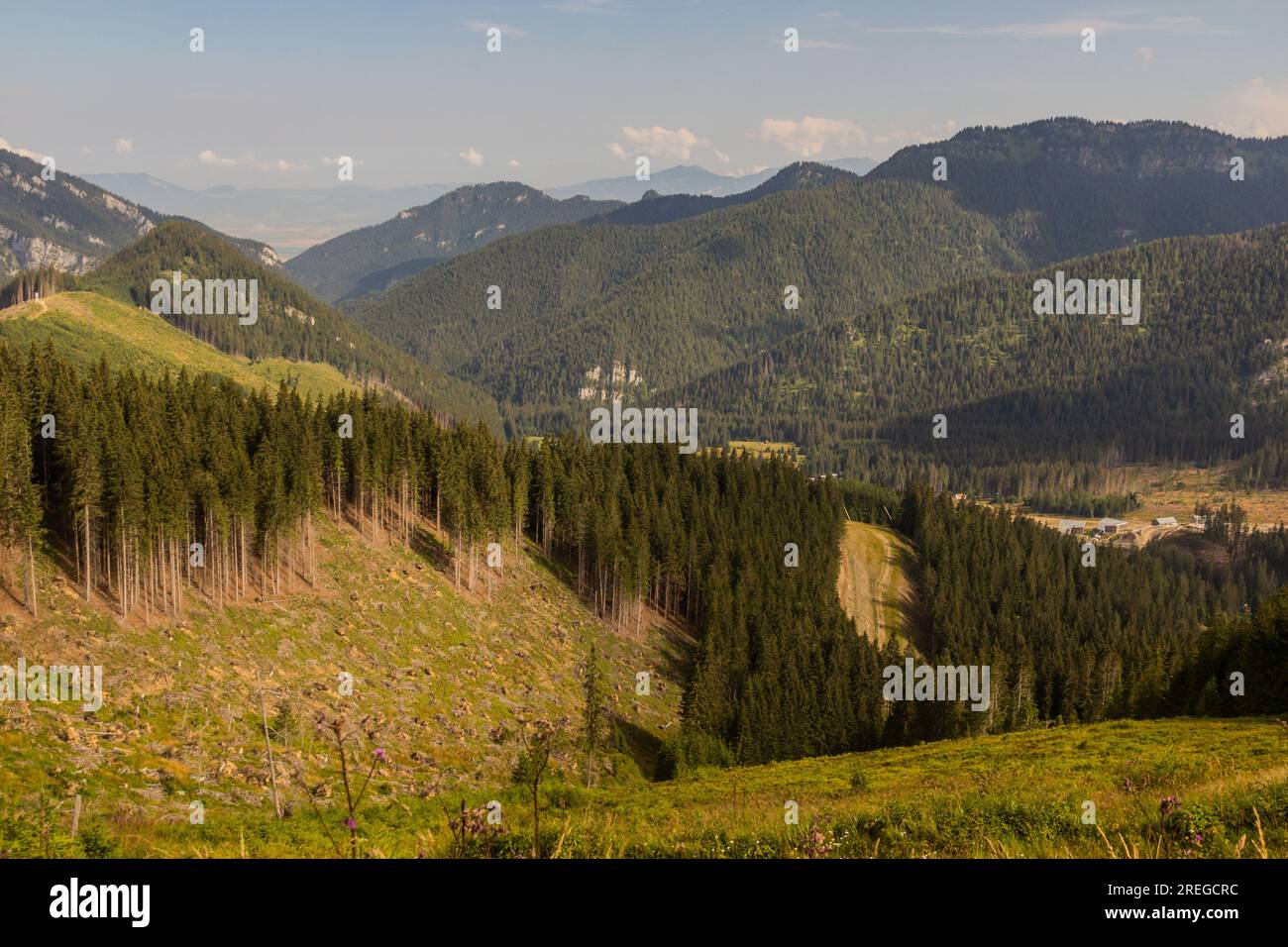 Landscape of Nizke Tatry mountains, Slovakia Stock Photo