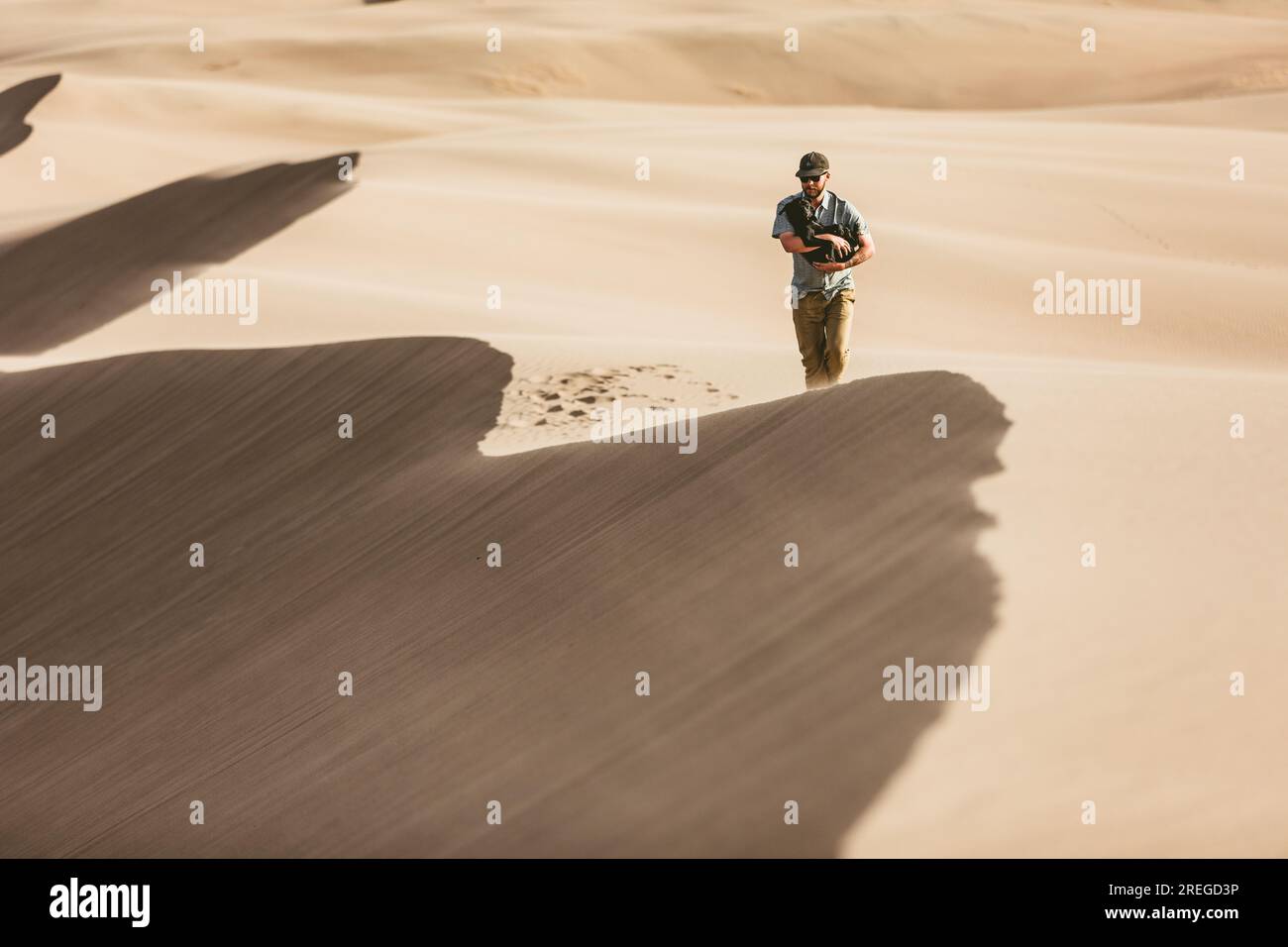 man walks with his puppy along windy sandy ridge line of sand dunes ...