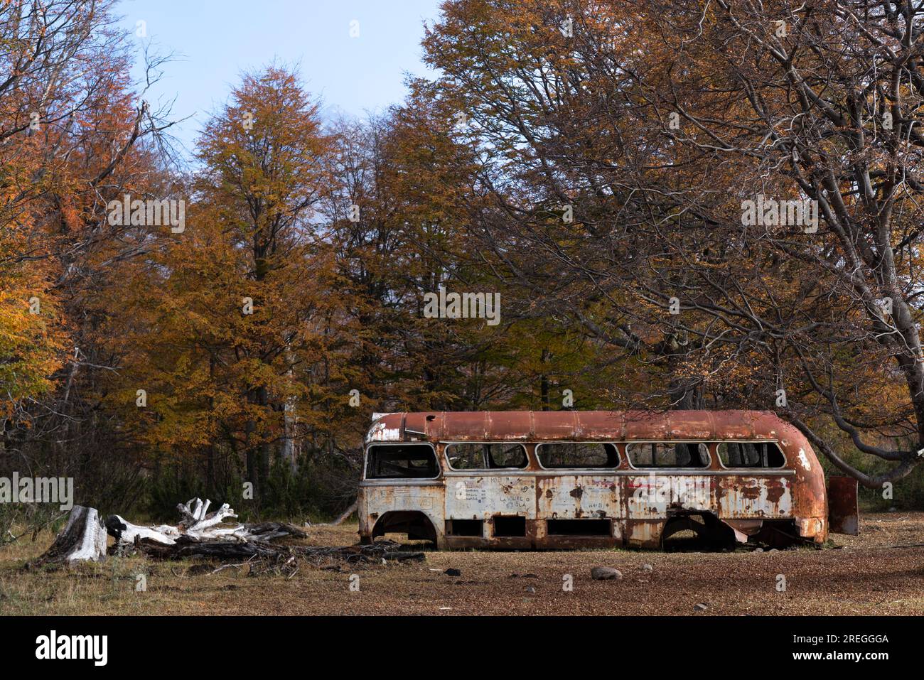 An abandoned bus near Reserva Baguilt in Patagonia during Autum Stock Photo
