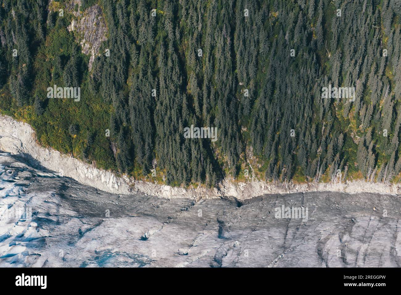 Where The Forest Turns to Ice in Sitka Alaska Stock Photo