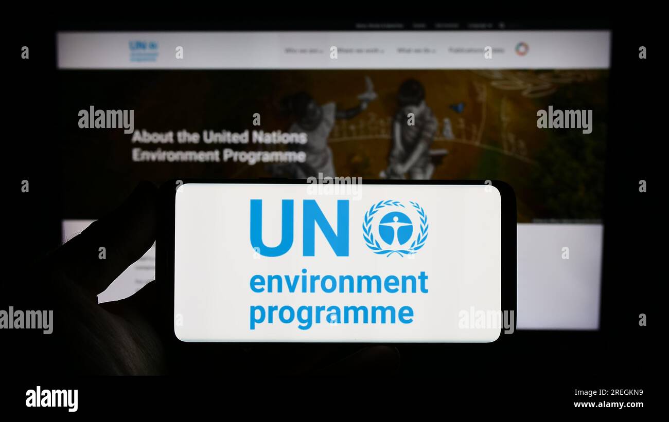 Person holding smartphone with logo of United Nations Environment Programme (UNEP) on screen in front of website. Focus on phone display. Stock Photo