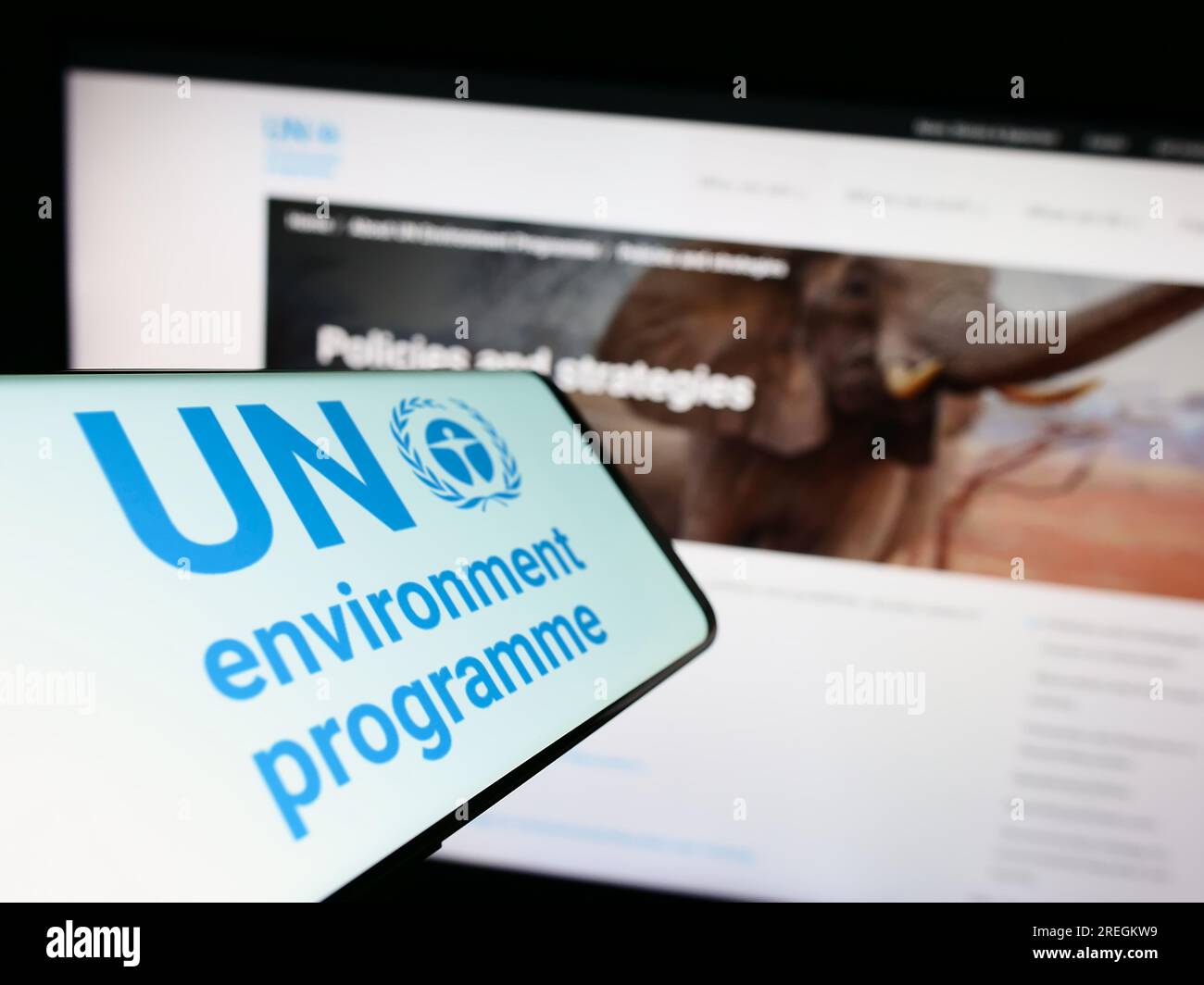Mobile phone with logo of United Nations Environment Programme (UNEP) on screen in front of website. Focus on center of phone display. Stock Photo