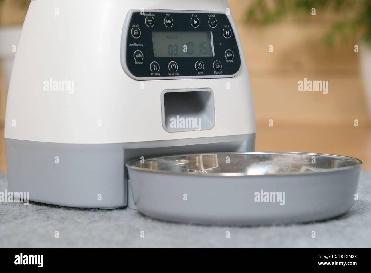 Picture of automatic feeder. Automatic pet food dispenser on the floor of the ...