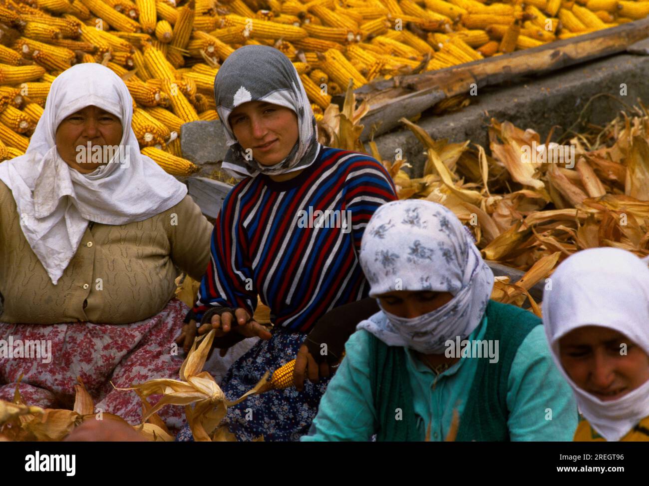 Edirne Turkey Women Shredding Corn Stock Photo