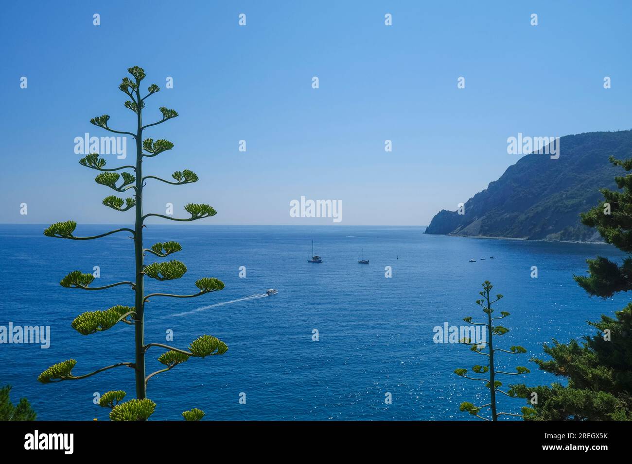 Aerial view of the Ligurian sea with boats and yachts and cliffs in Monterosso Al mare, Liguria, Italy Stock Photo