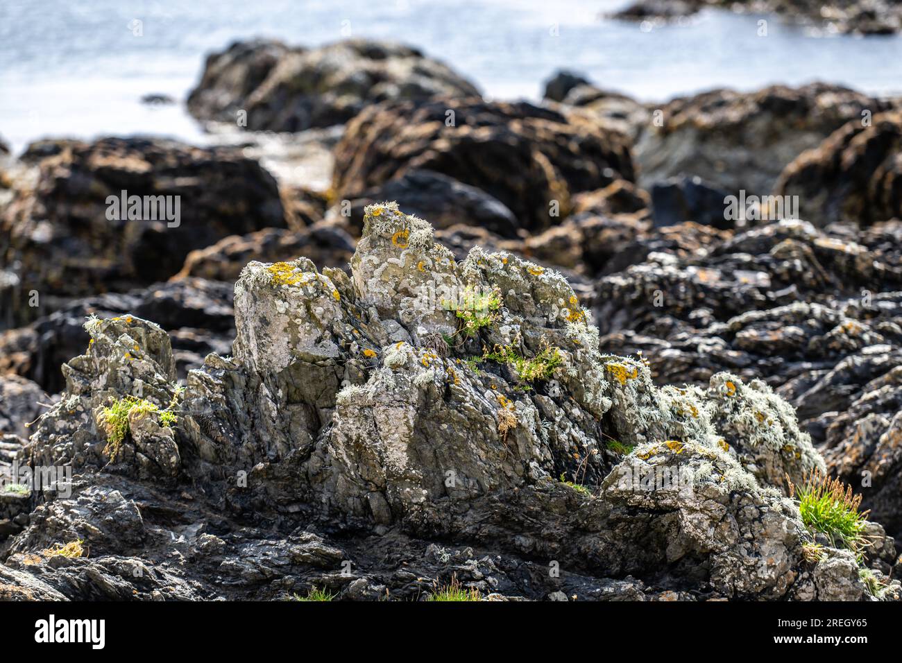 The sharp jagged limestone rocks around the rugged seaside of the Isle of Man Stock Photo