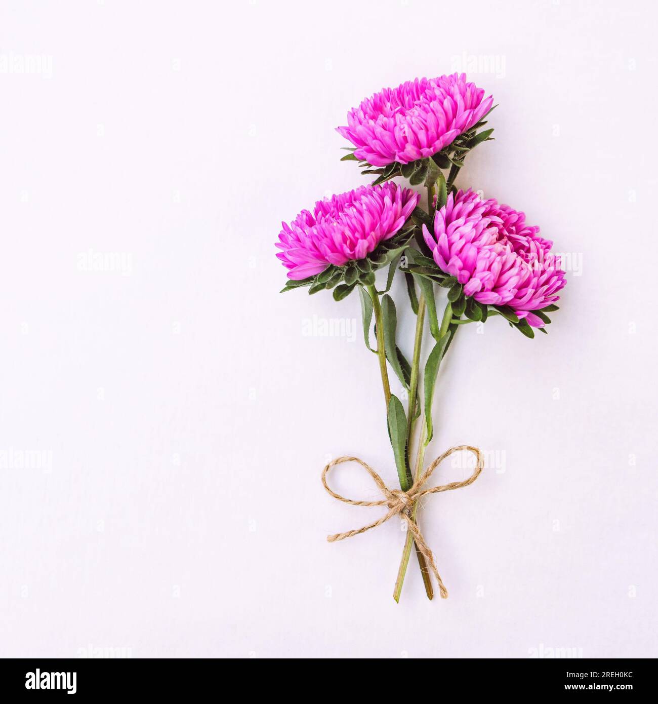 Beautiful asters on bright hi-res stock photography and images - Alamy