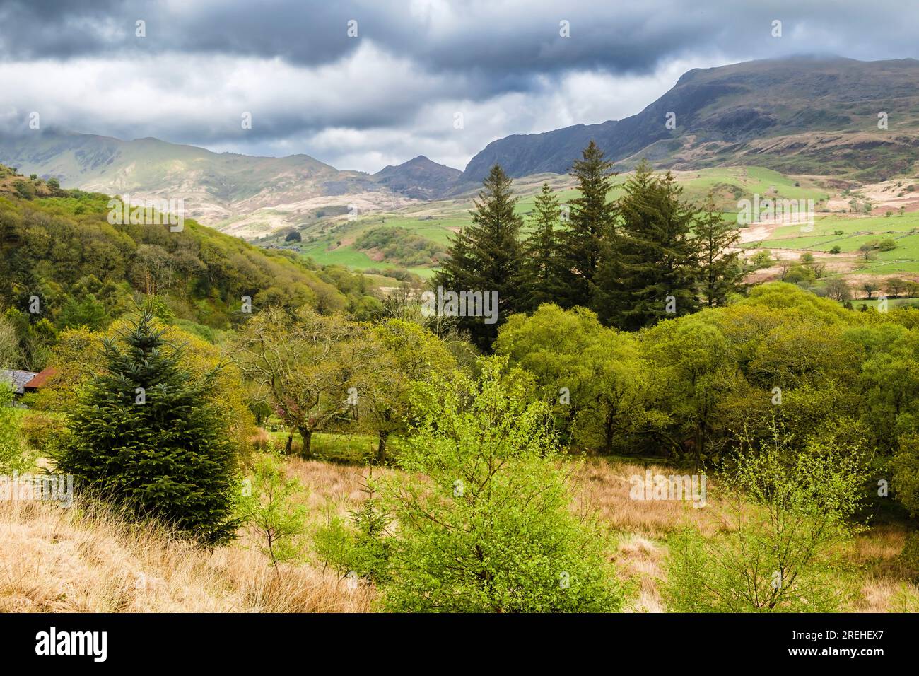 View up Cwm Pennant valley from wooded hillside in Gilfach nature