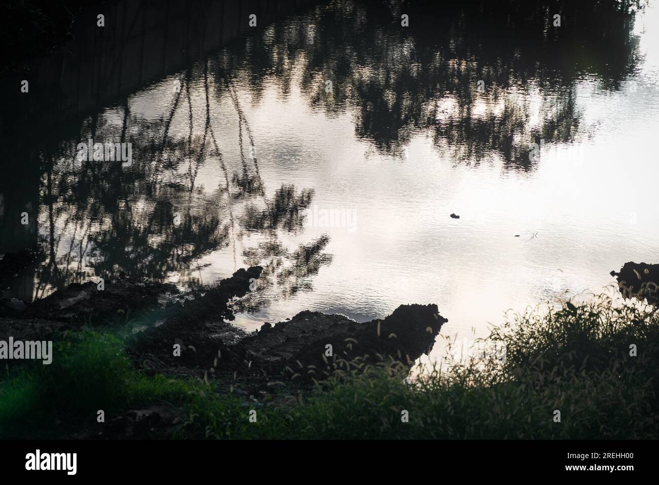 Sunrise insects hi-res stock photography and images - Alamy
