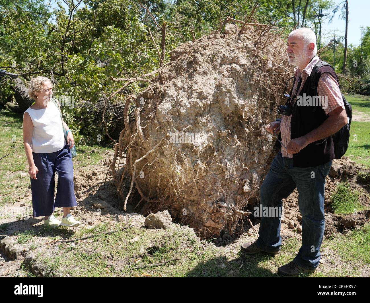 Milan, Italy. 28th July, 2023. Milan - Montanelli Gardens park with entrance to the Natural History Museum to see the disaster with the trees fallen due to bad weather inside the park with councilor Elena Grandi and Acampora Editorial Usage Only Credit: Independent Photo Agency/Alamy Live News Stock Photo