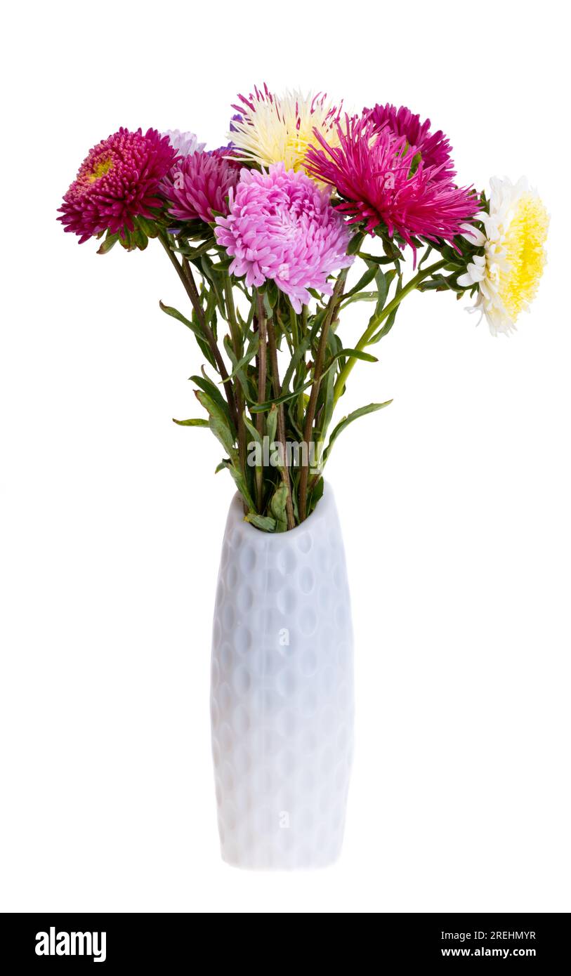 vase with flowers isolated on white background Stock Photo - Alamy