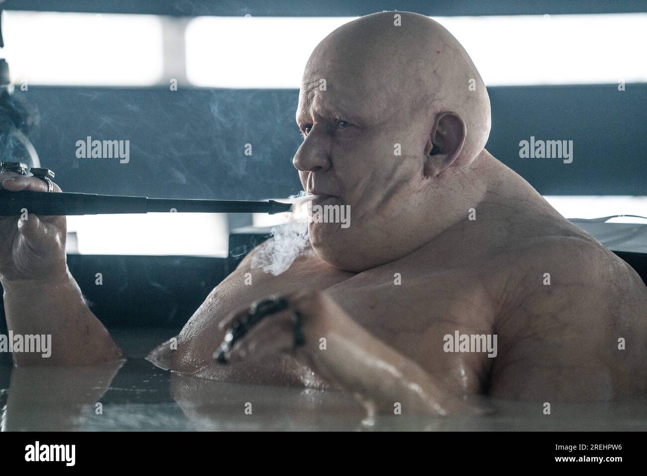 Stellan skarsgard dune hi-res stock photography and images - Alamy