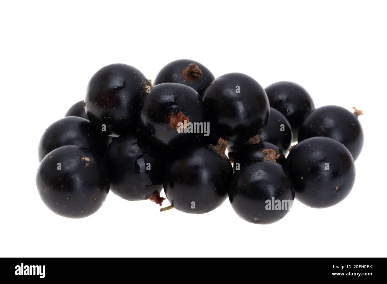 blackcurrant isolated on white background Stock Photo