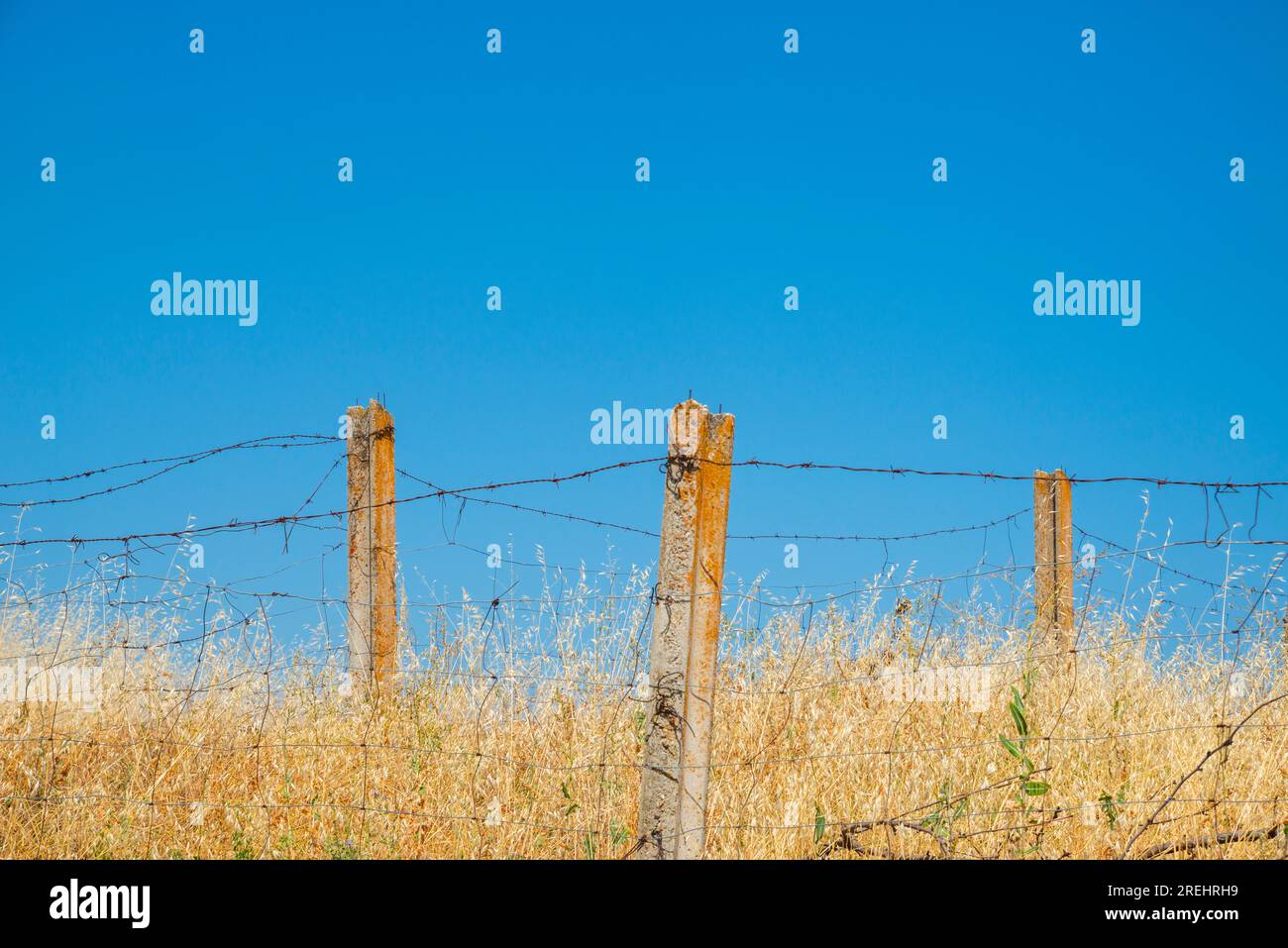 Barbed wire fence. Stock Photo