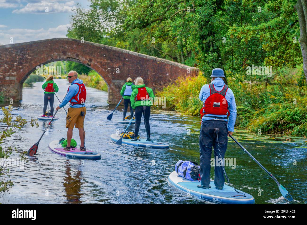 On a tranquil morning, a group of men and women paddleboard down the Ripon Canal towards Renton's Bridge, Ripon, North Yorkshire, England, UK. Stock Photo