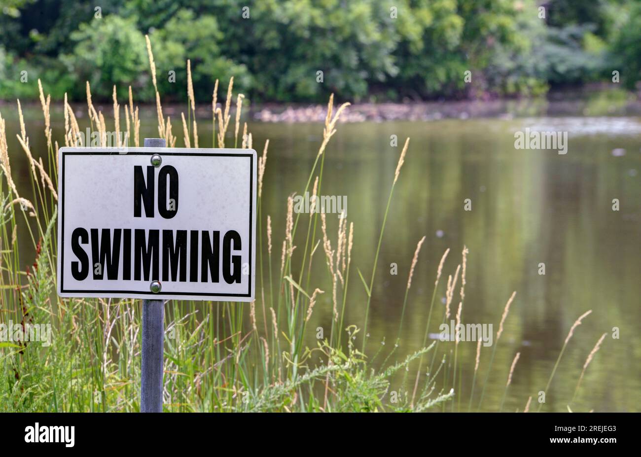 No Swimming sign posted on a lake shore. Stock Photo