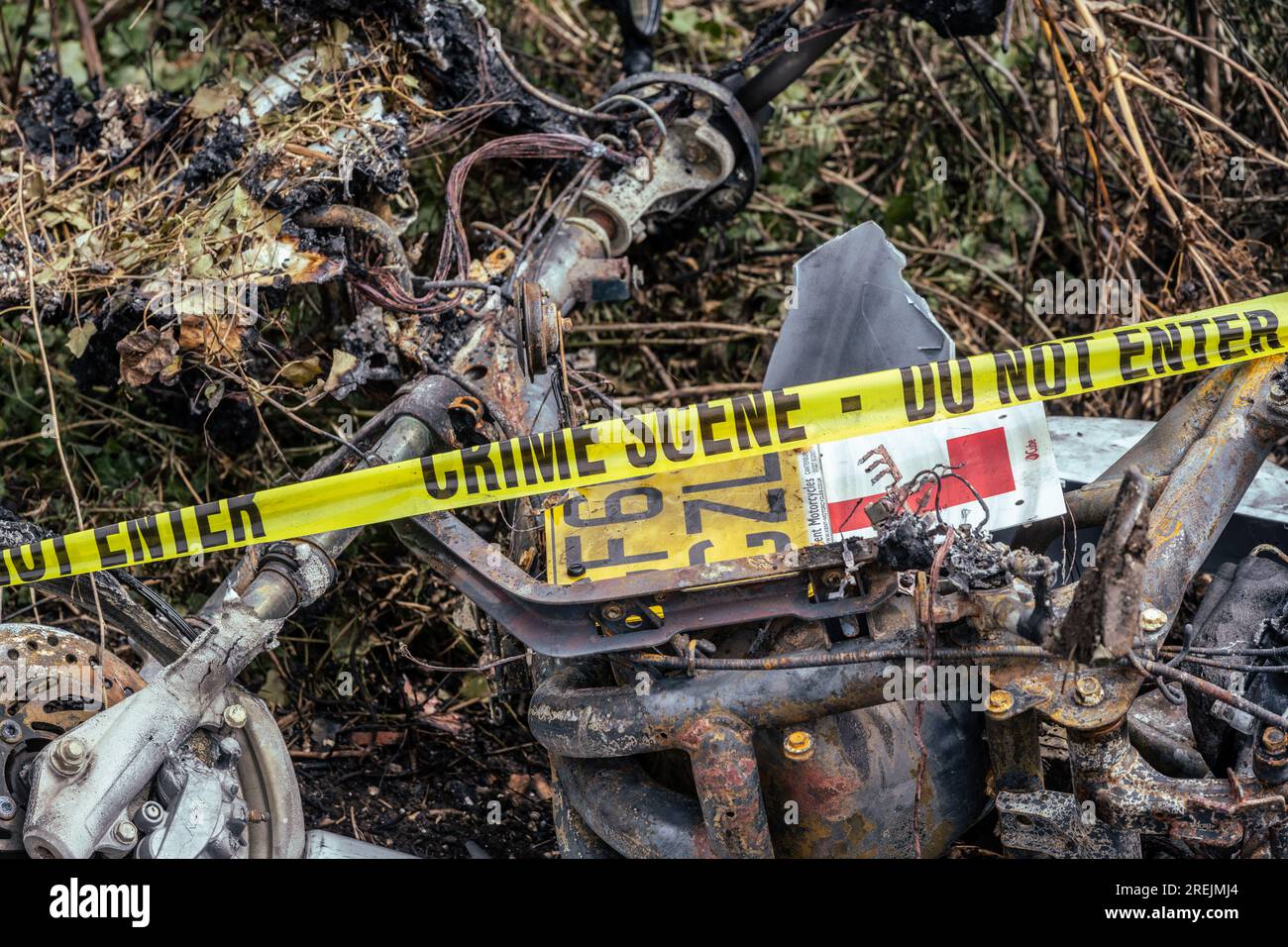 A burnt out and abandoned stolen scooter left in the undergrowth with ...