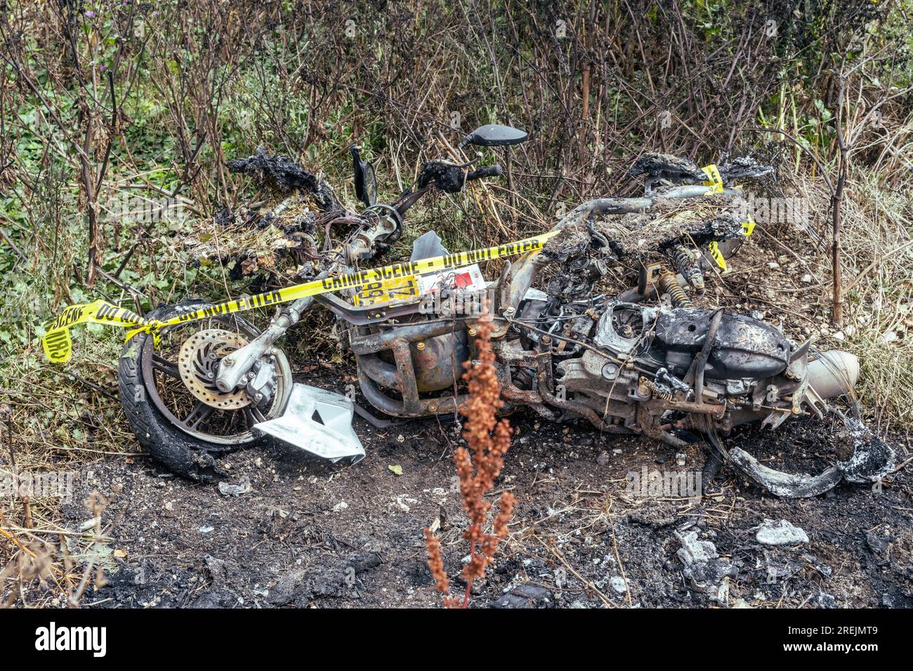 A burnt out and abandoned stolen scooter left in the undergrowth with ...