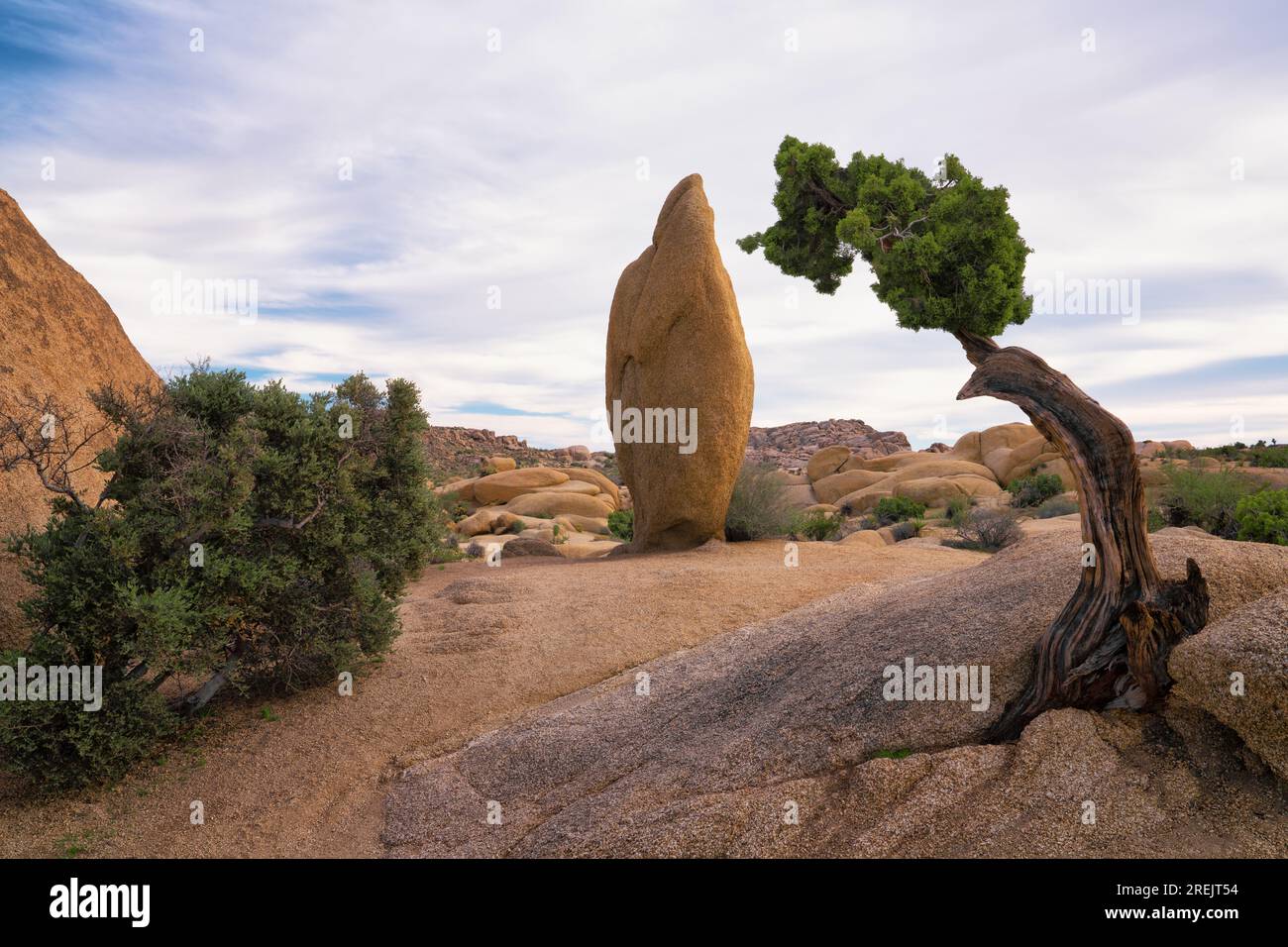 San andreas fault rock formation hi-res stock photography and images ...