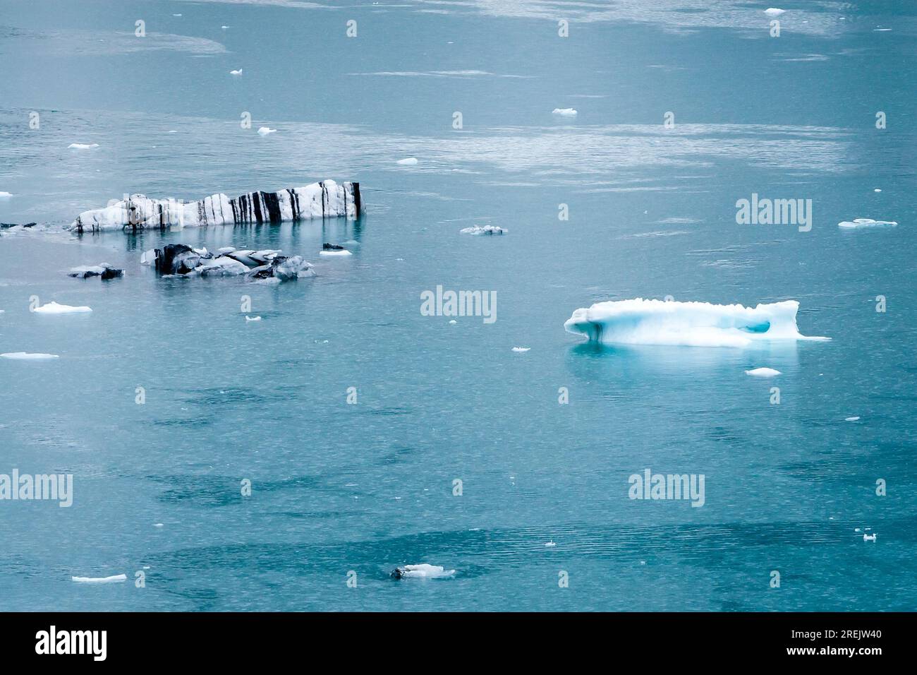 Chunks of ice, also known as growlers, which have broken off of the Margerie Glacier in Glacier Bay National Park, Alaska Stock Photo