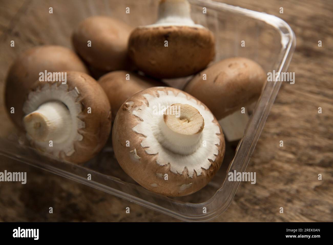 Chestnut mushrooms, grown in Poland and imported into the UK. Stock Photo