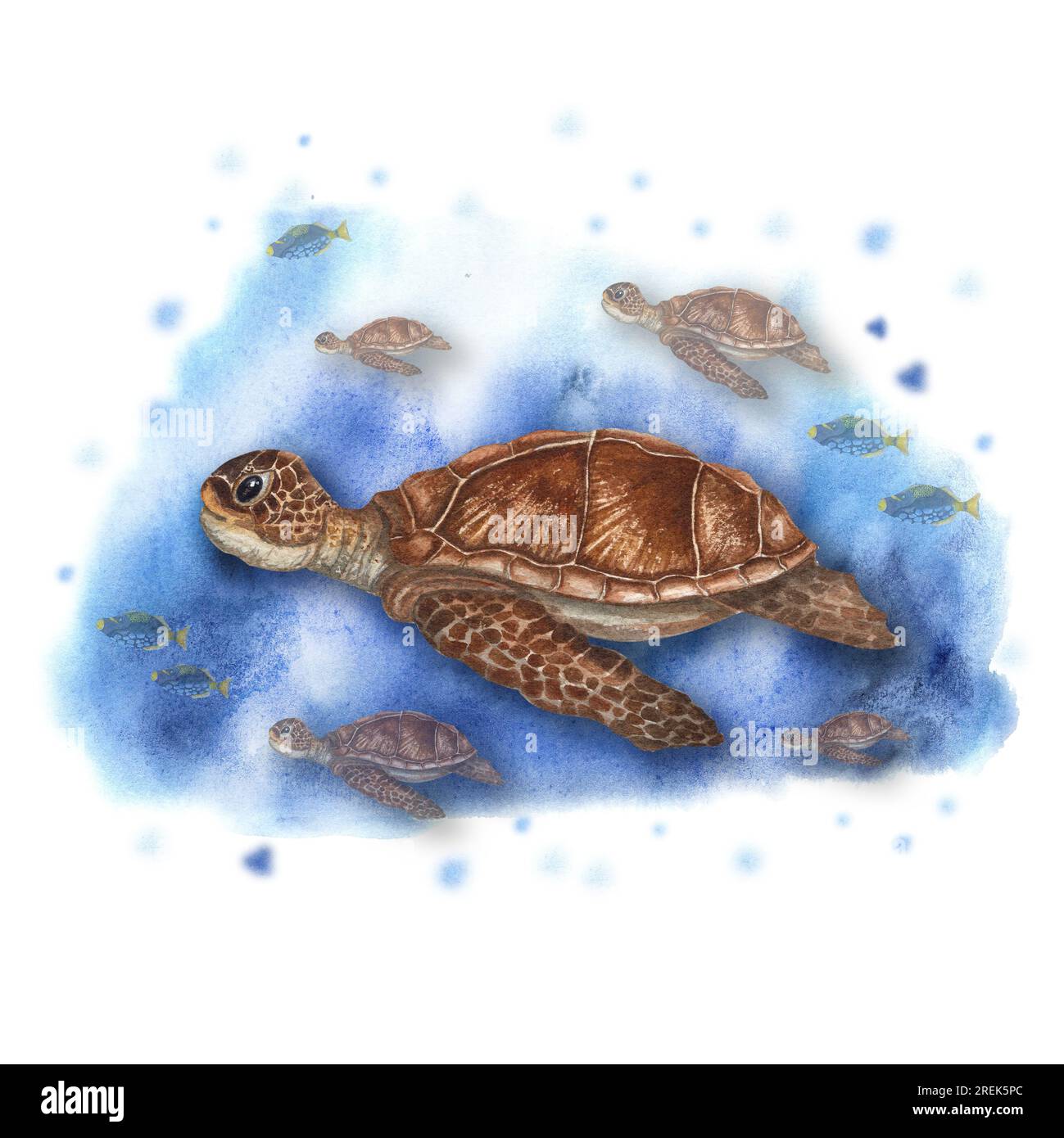 Watercolor illustration with cute sea turtles swimming underwater among fish. Colorful drawing isolated on watercolor background. Stock Photo