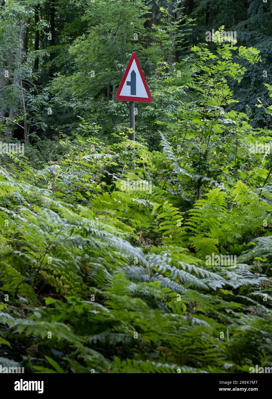 A road juntion warning sign in woodland, Worcestershire, England. Stock Photo