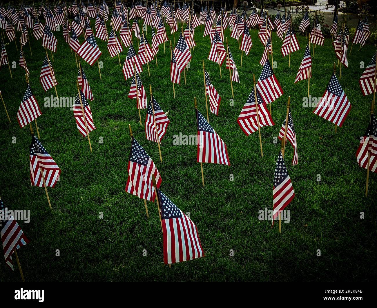 Patriotic United States of American flags celebrating one of the