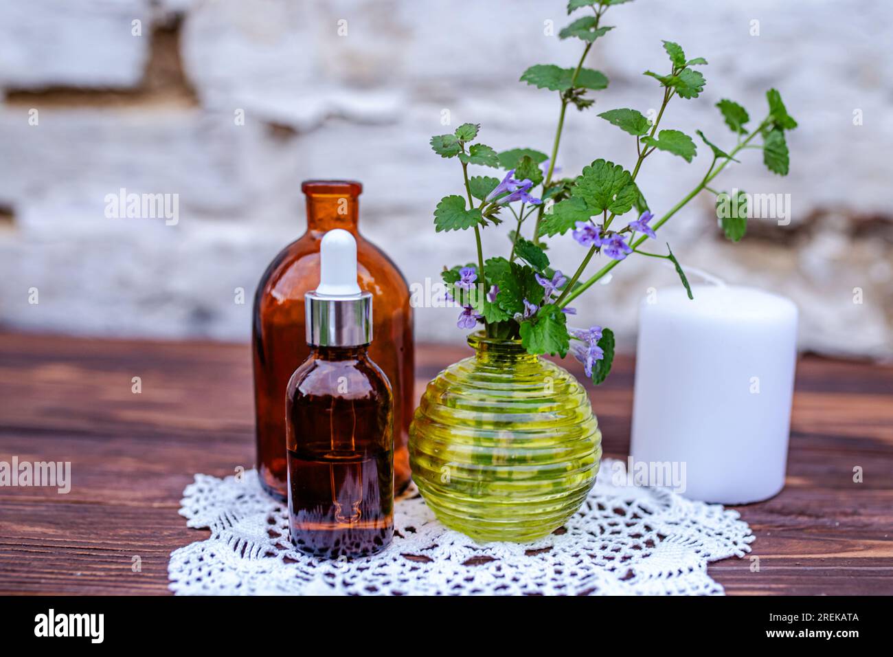 Glechoma hederacea, ground-ivy, gill-over-the-ground, creeping charlie, alehoof, tunhoof, catsfoot. Essential oil and tincture from a medicinal plant. Stock Photo