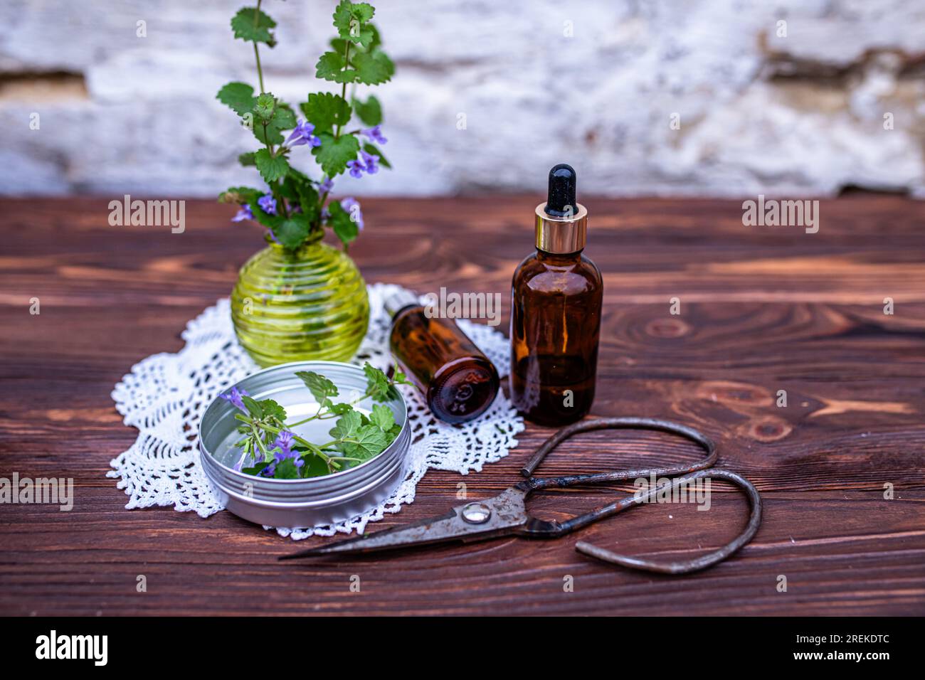 Glechoma hederacea, ground-ivy, gill-over-the-ground, creeping charlie, alehoof, tunhoof, catsfoot, creeping jenny. Cosmetic bottle of oil for body Stock Photo